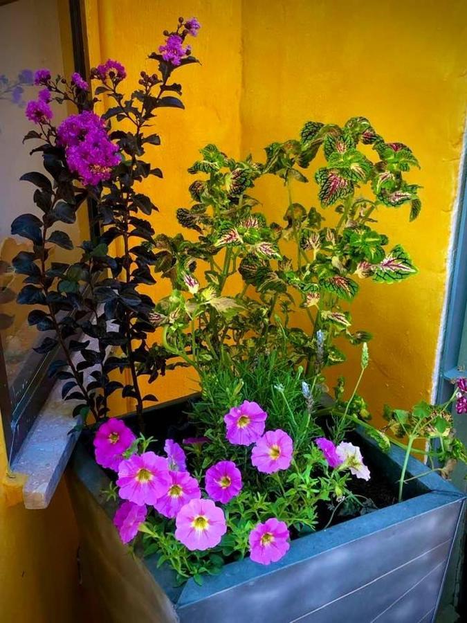 Higos Chumbos, Casa Rural Compartido ชิกลานา เด ลา ฟรอนเตรา ภายนอก รูปภาพ